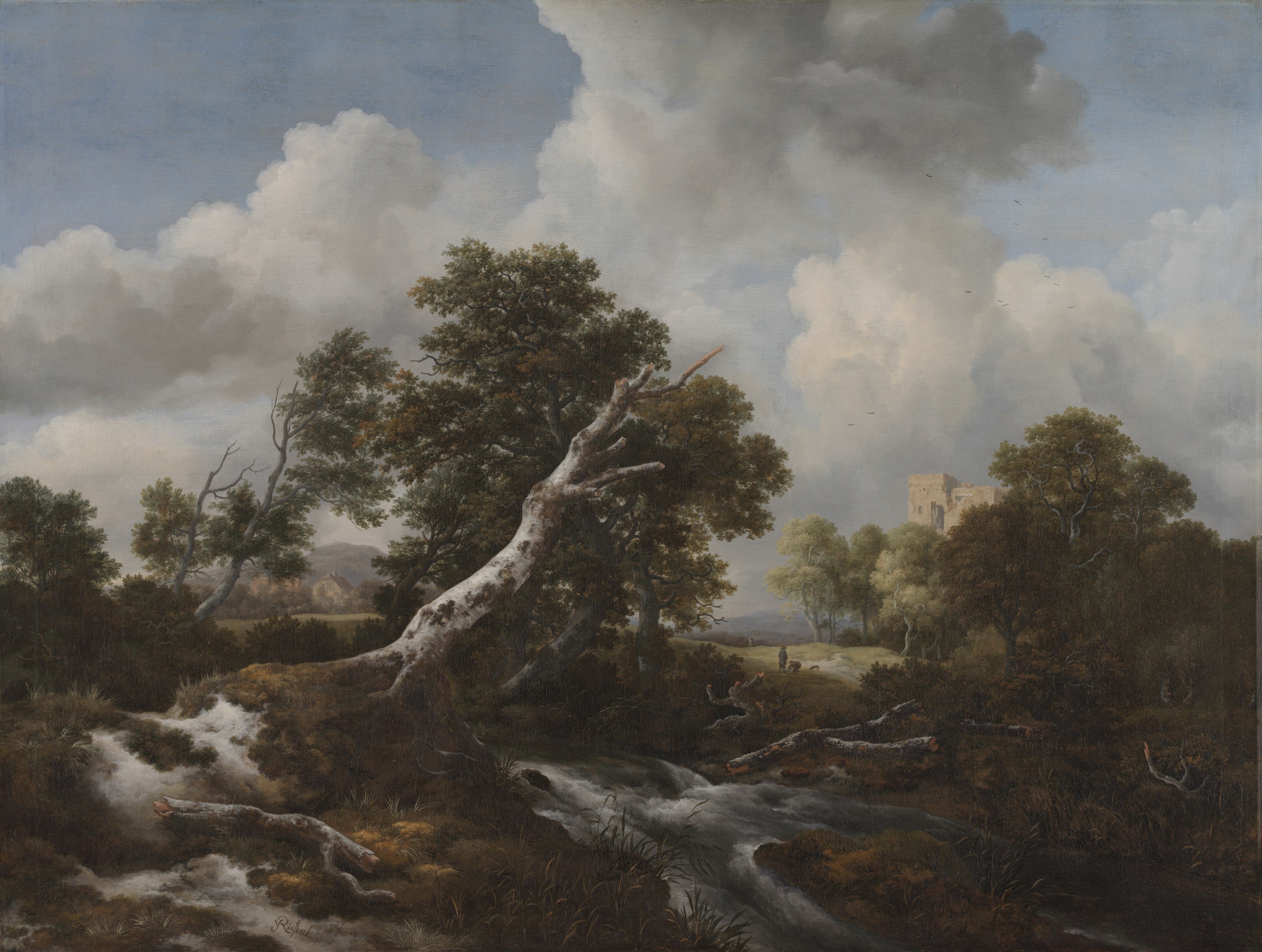Low Waterfall in a Wooded Landscape with a Dead Beech Tree — Jacob van Ruisdael (c. 1660–70)