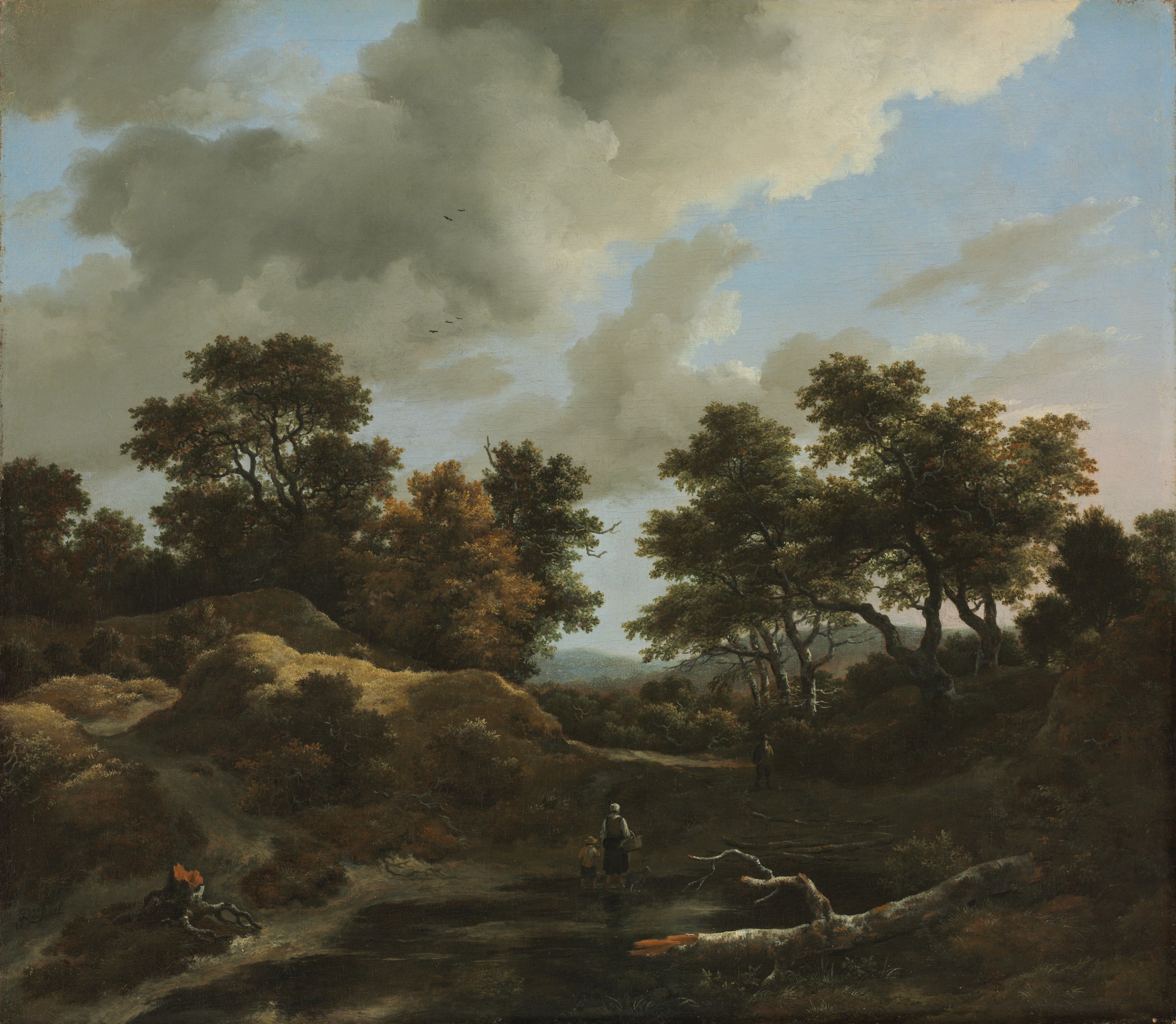 Wooded and Hilly Landscape — Jacob van Ruisdael (1660s)