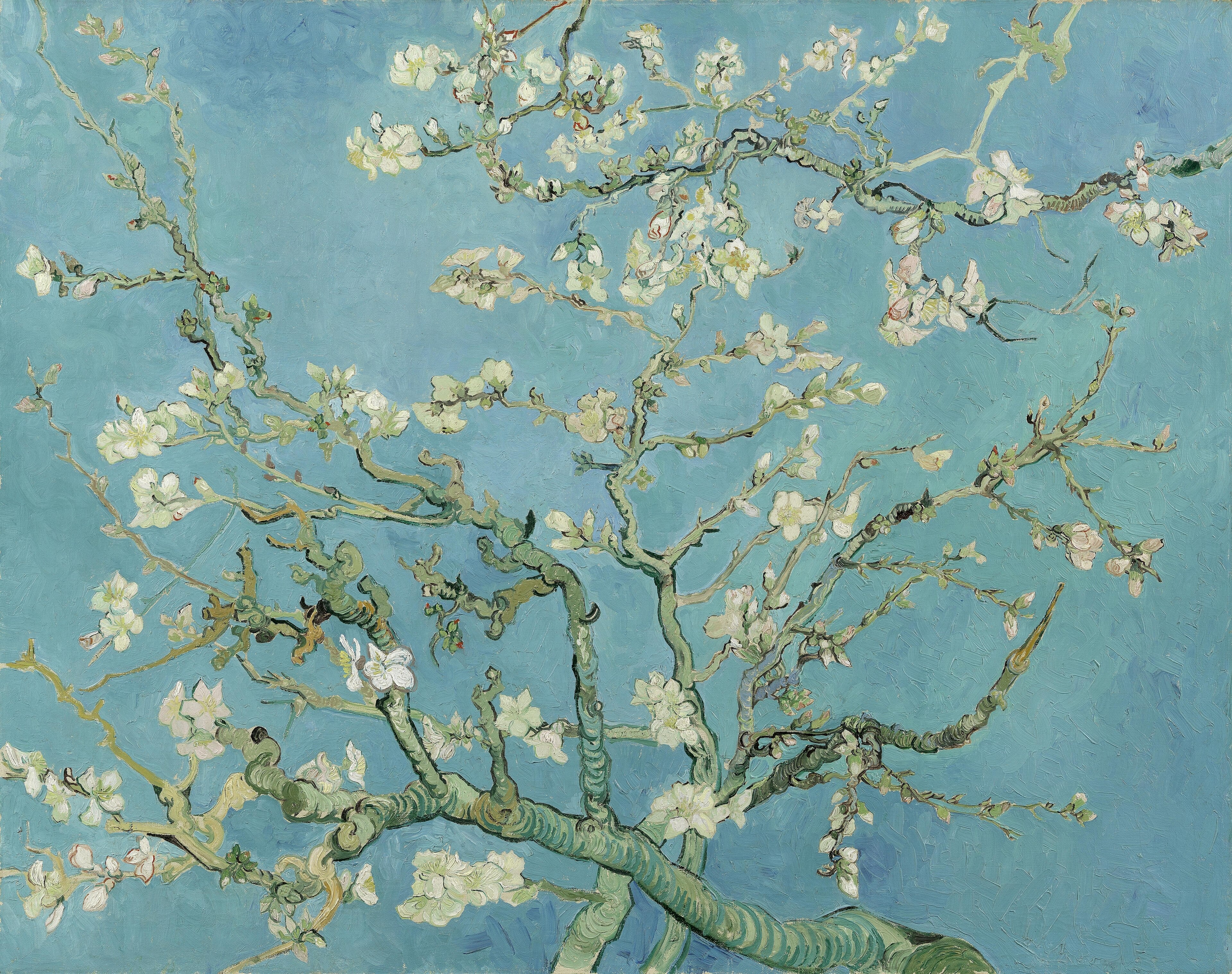 Almond Blossoms — Vincent van Gogh (1890)