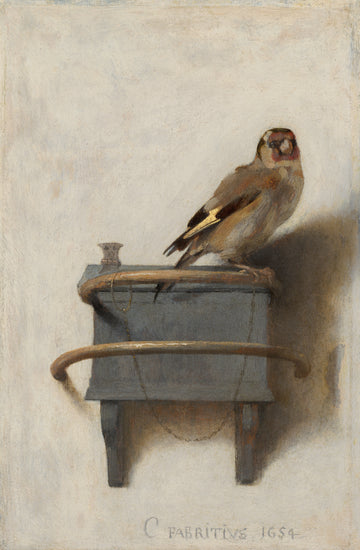 The Goldfinch — Carel Fabritius (1654)