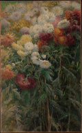 Chrysanthemums in the Garden at Petit-Gennevilliers — Gustave Caillebotte (1893)