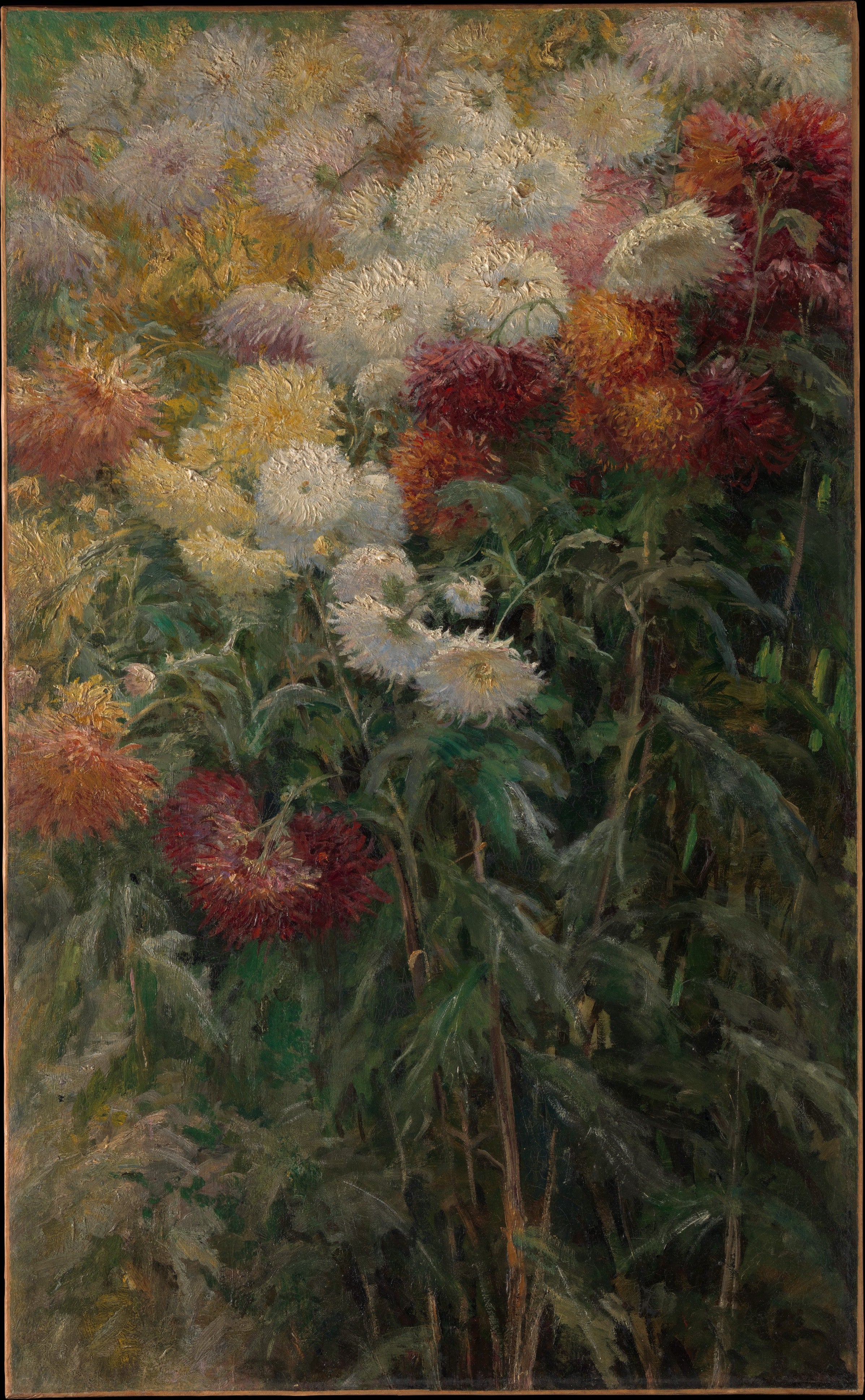 Chrysanthemums in the Garden at Petit-Gennevilliers — Gustave Caillebotte (1893)