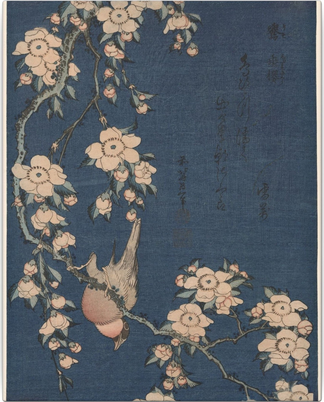 Bullfinch and Weeping Cherry — flat artwork