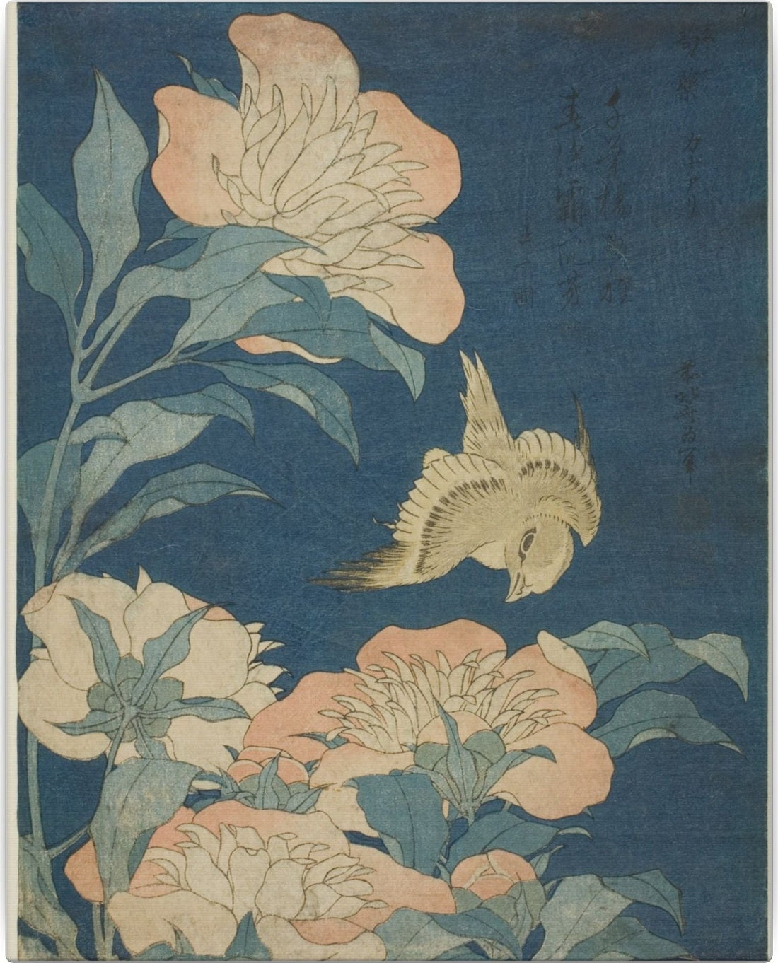 Canary and Peony — flat artwork