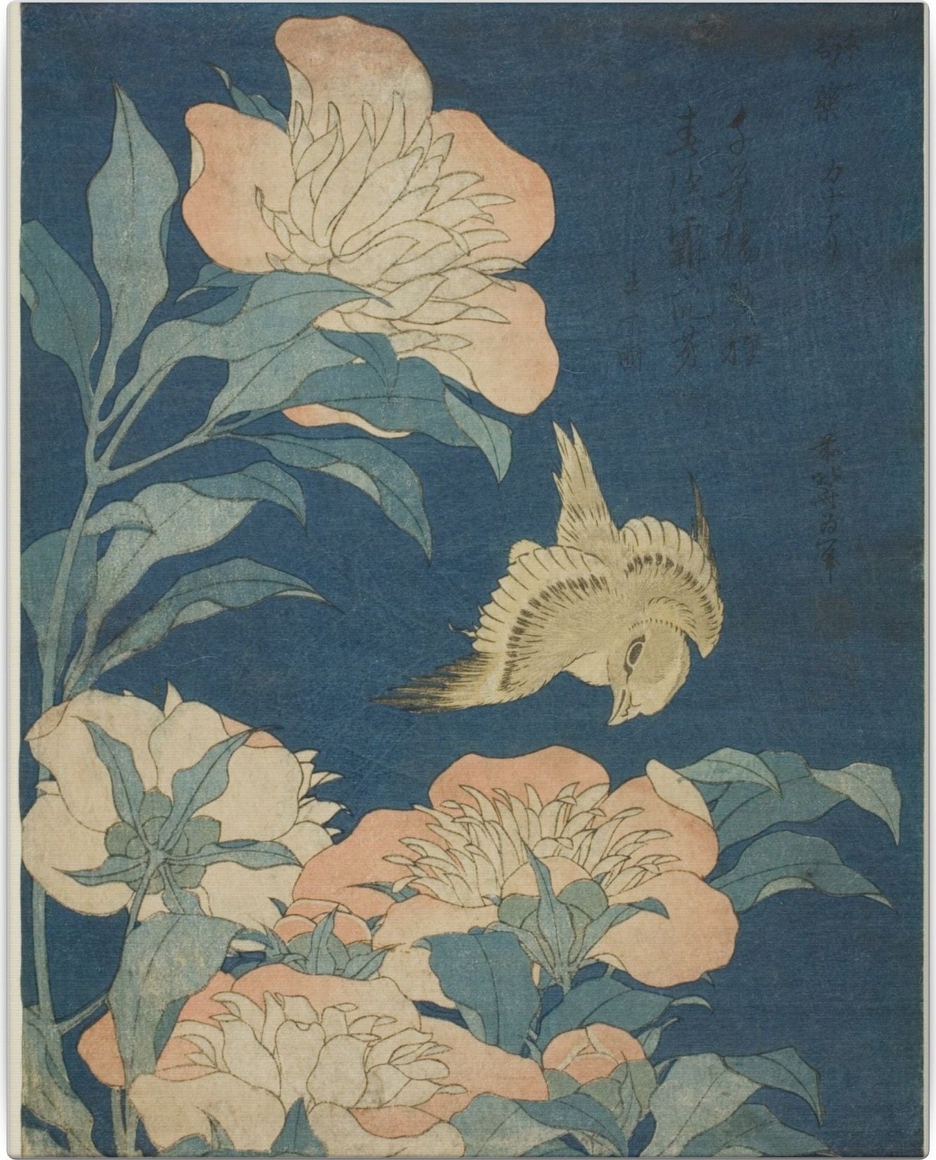 Canary and Peony — flat artwork