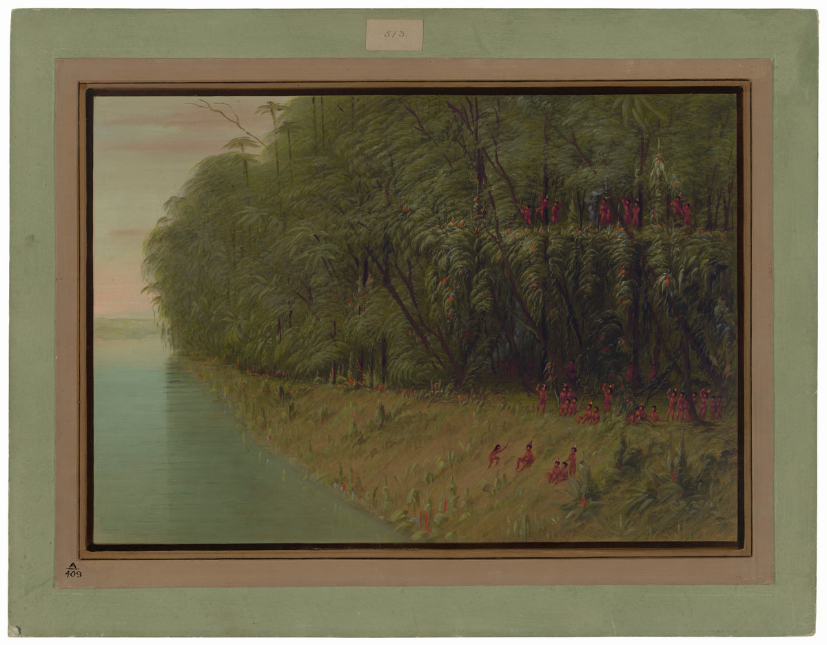 An Amazon Forest - Looking Ashore — George Catlin (1854/1869)