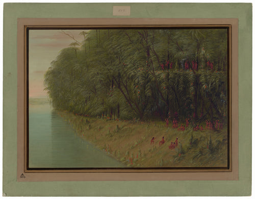 An Amazon Forest - Looking Ashore — George Catlin (1854/1869)