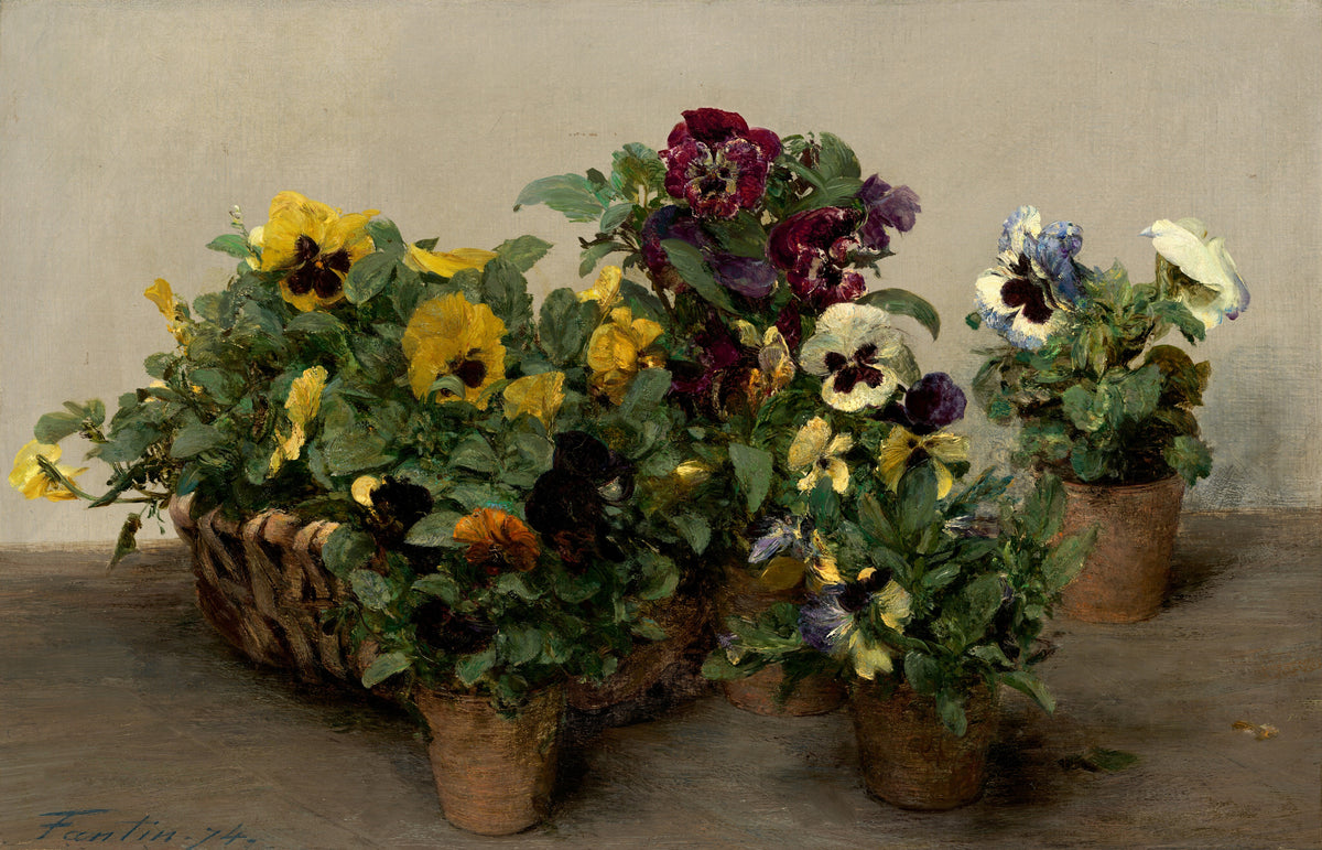 Pansies — Henri Fantin-Latour (1874)