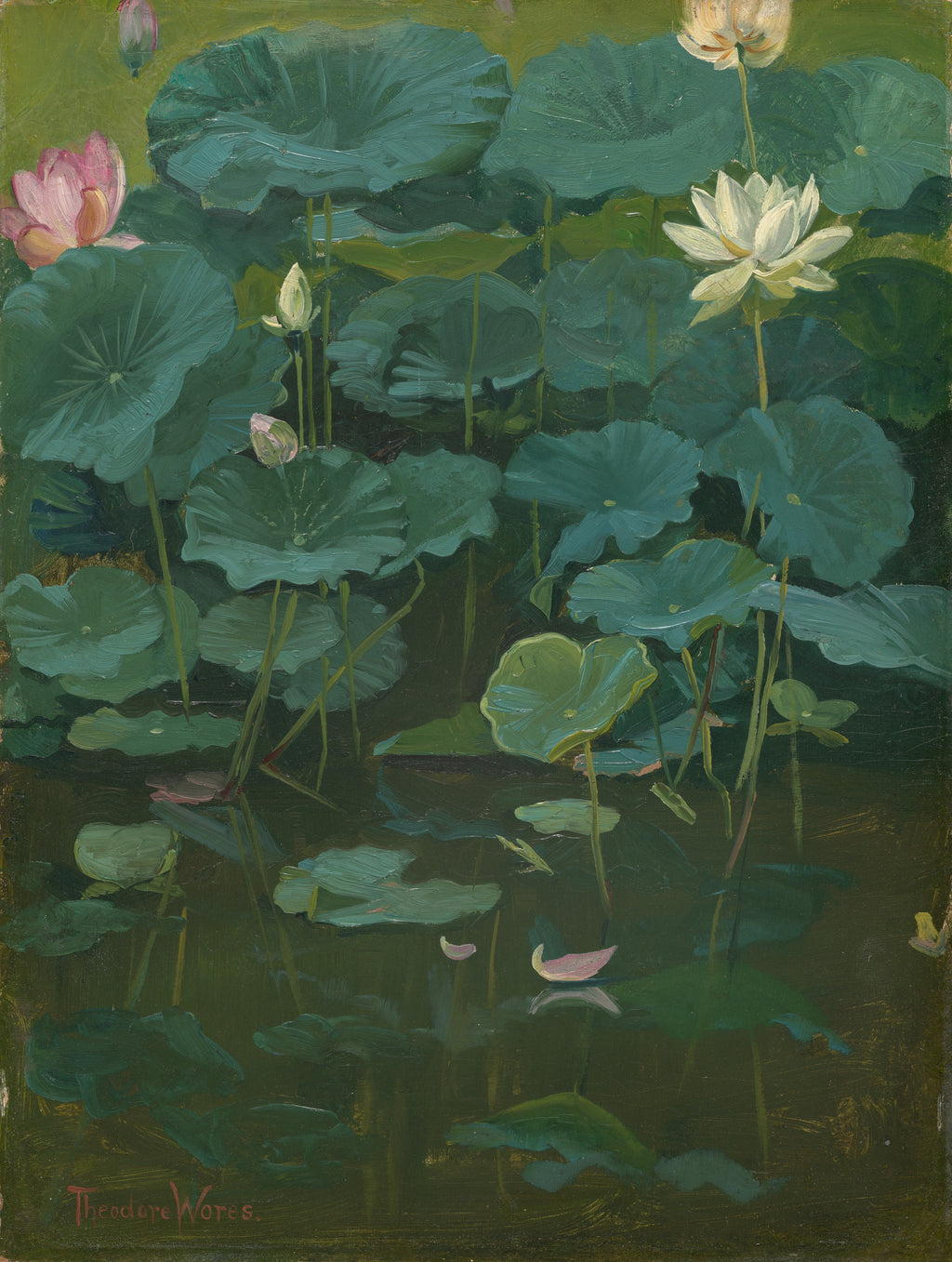 Buddha's Flowers: Lotus, Tokyo — Theodore Wores (1894)