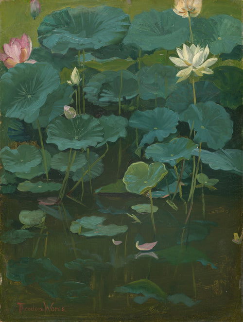 Buddha's Flowers: Lotus, Tokyo — Theodore Wores (1894)