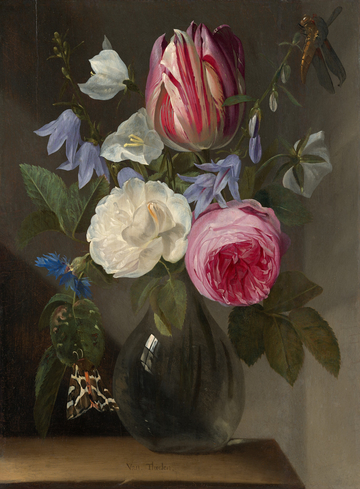 Roses and a Tulip in a Glass Vase — Jan Philips van Thielen (c. 1650/1660)