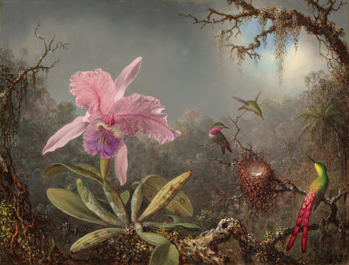 Cattleya Orchid and Three Hummingbirds — Martin Johnson Heade (1871)