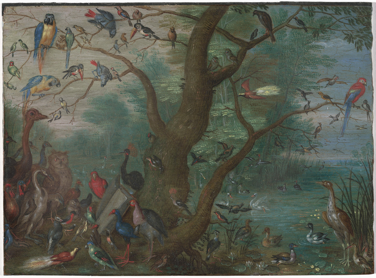 Concert of Birds — Circle of Jan van Kessel the Elder (1660/1670)