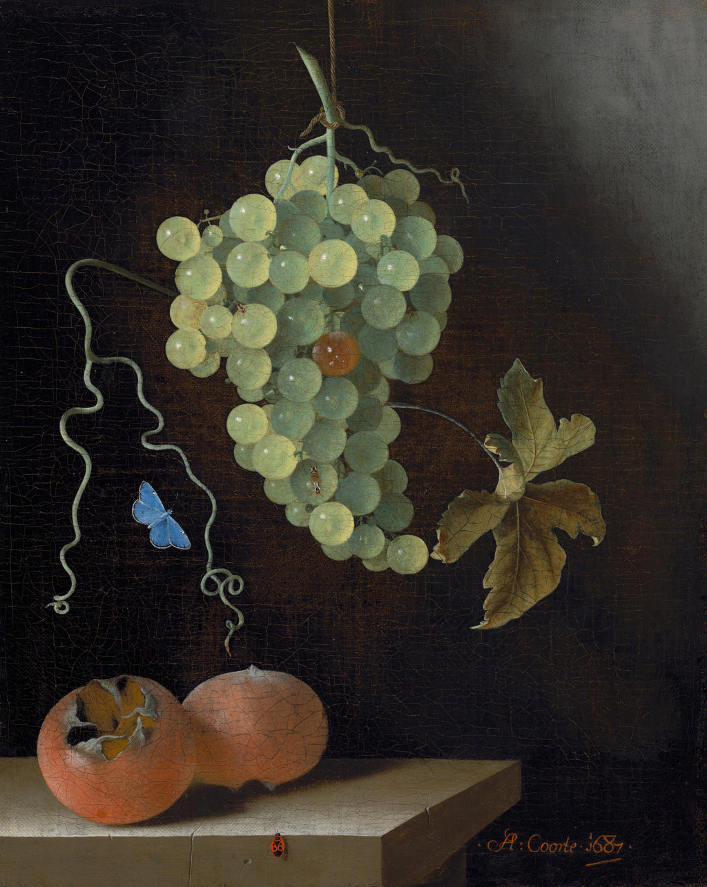 Still Life with a Hanging Bunch of Grapes, Two Medlars, and a Butterfly — Adriaen Coorte (1687)