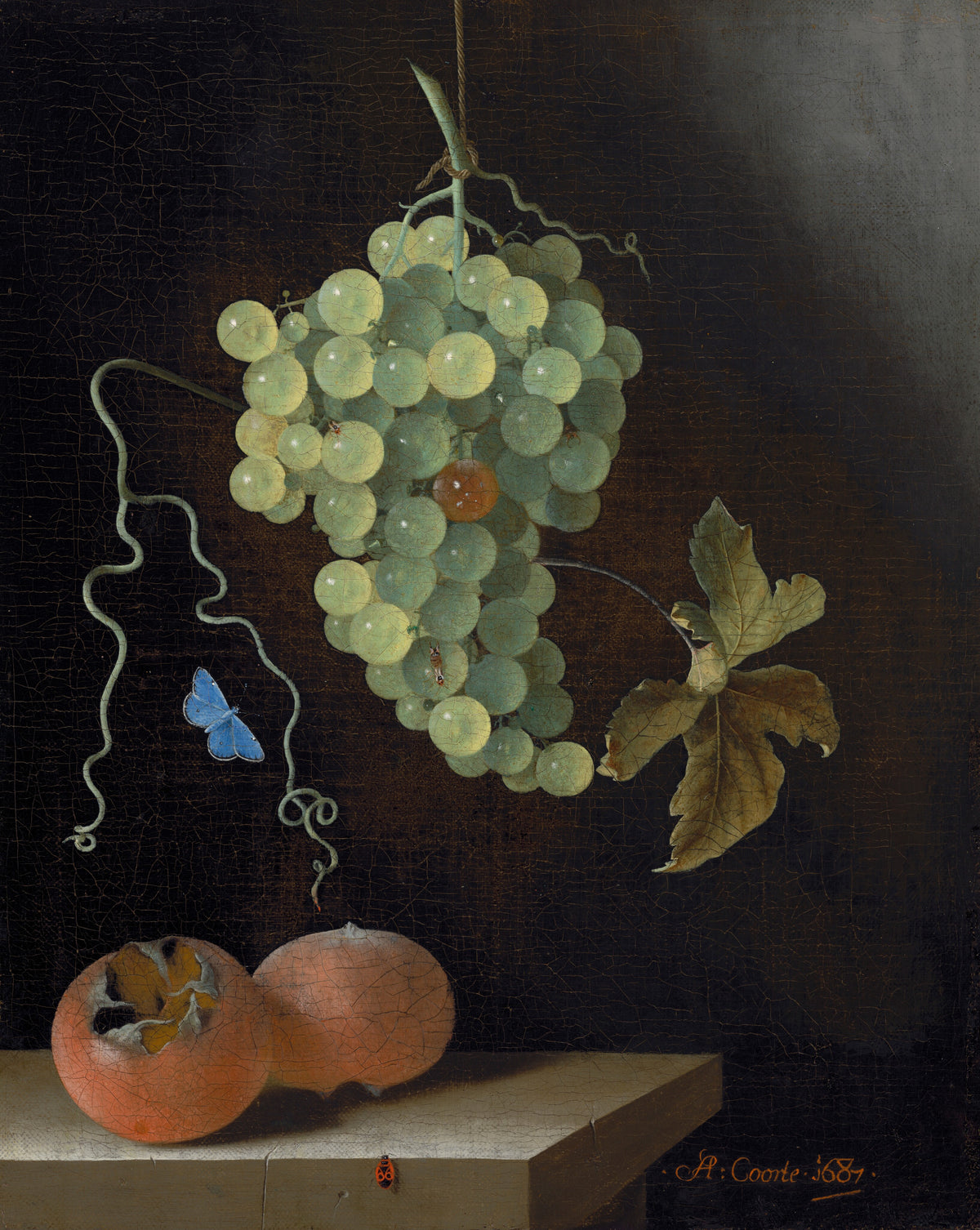 Still Life with a Hanging Bunch of Grapes, Two Medlars, and a Butterfly — Adriaen Coorte (1687)
