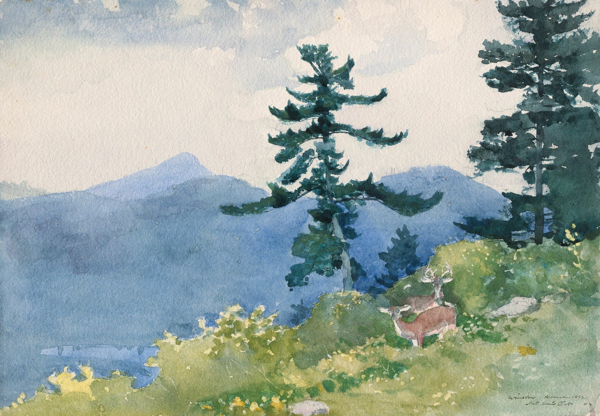 North Woods Club, Adirondacks (The Interrupted Tête-à-Tête) — Winslow Homer (1892)