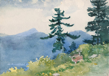 North Woods Club, Adirondacks (The Interrupted Tête-à-Tête) — Winslow Homer (1892)